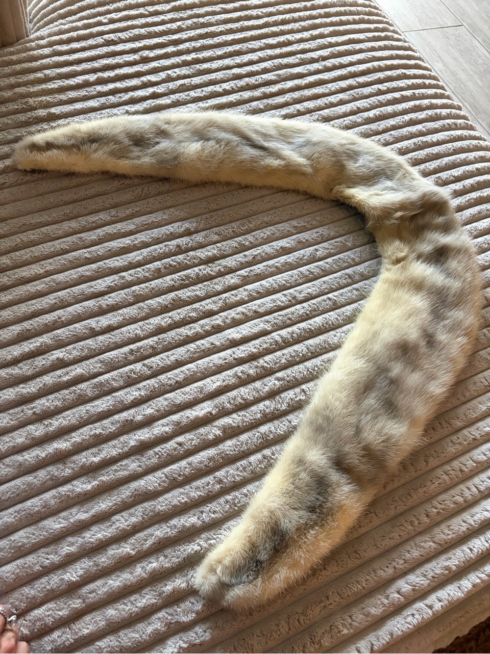 VTG 1950s detachable mink fur collar